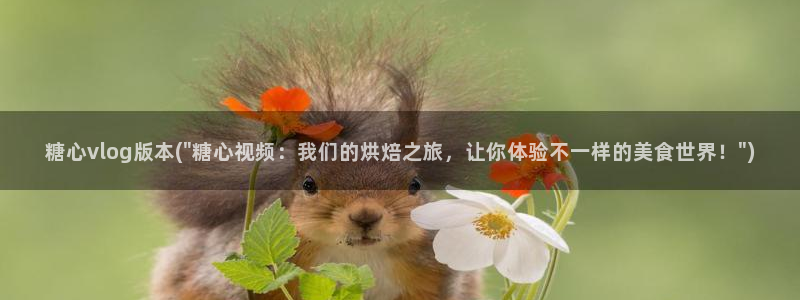 糖心vlog小雪:糖心vlog版本(\