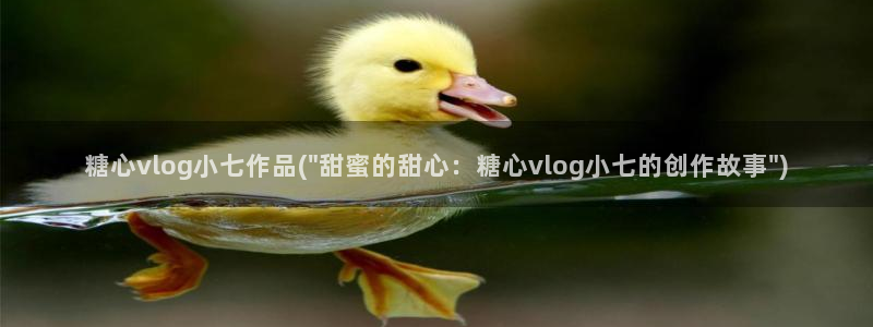 糖心vlog洛丽塔少女:糖心vlog小七