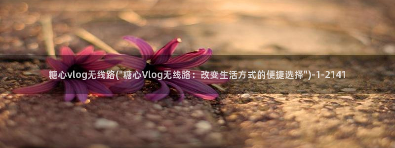 多乙糖心vlog:糖心vlog无线路(\